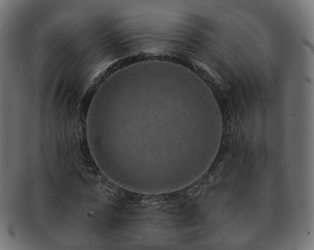 X0000092320776200709141412