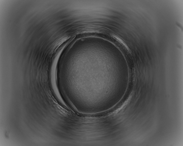 X0000092320777200709141412