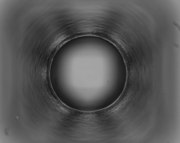 X0000092320778200709141412
