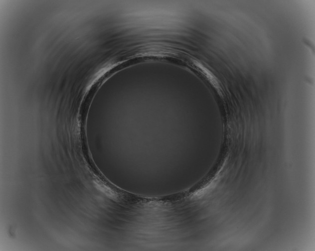 X0000092320779200709141412