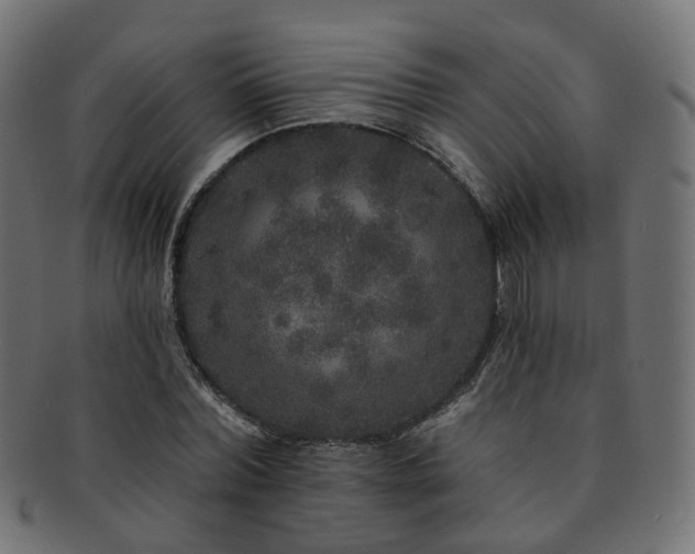 X0000092320780200709141412
