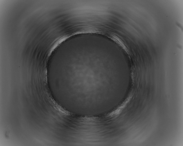 X0000092320781200709141412