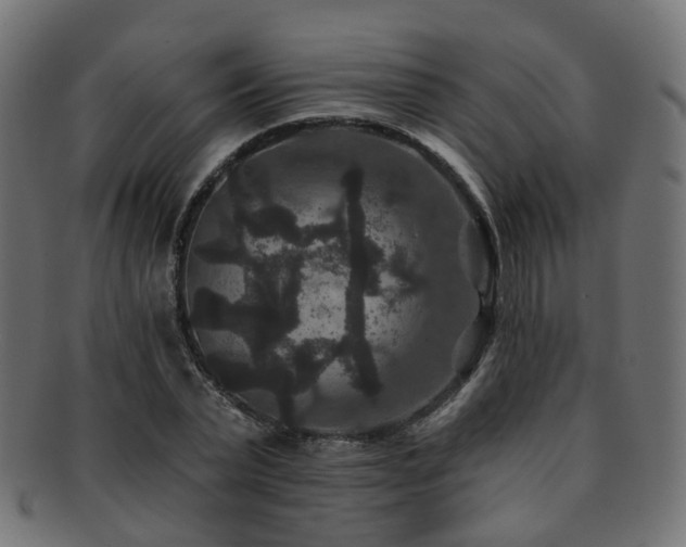 X0000092320783200709141412