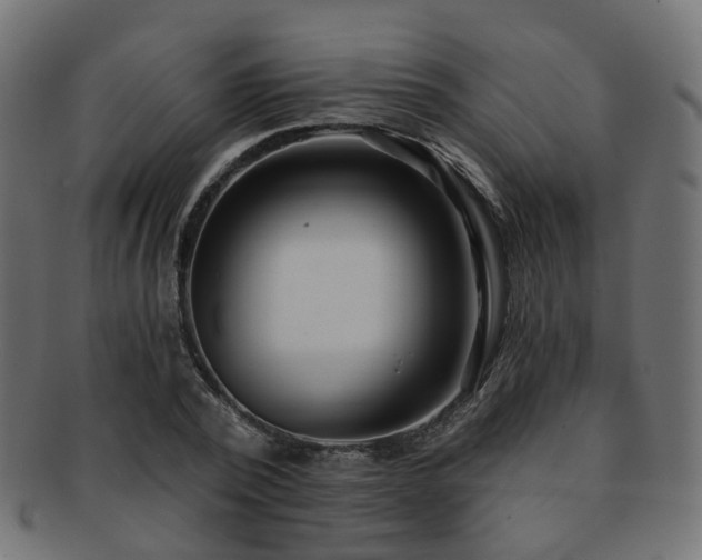 X0000092320784200709141412