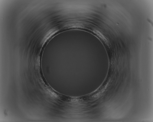 X0000092320790200709141412