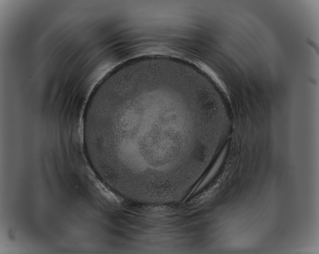 X0000092320791200709141412