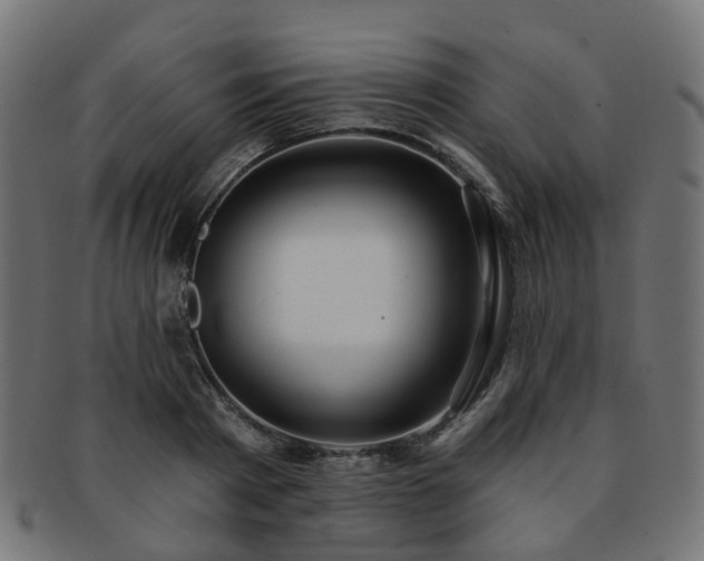 X0000092320793200709141412