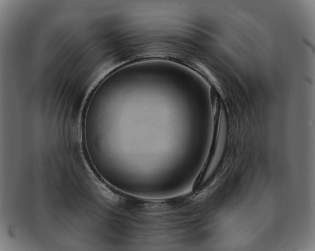 X0000092320795200709141412