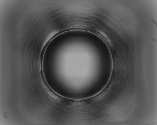 X0000092320796200709141412