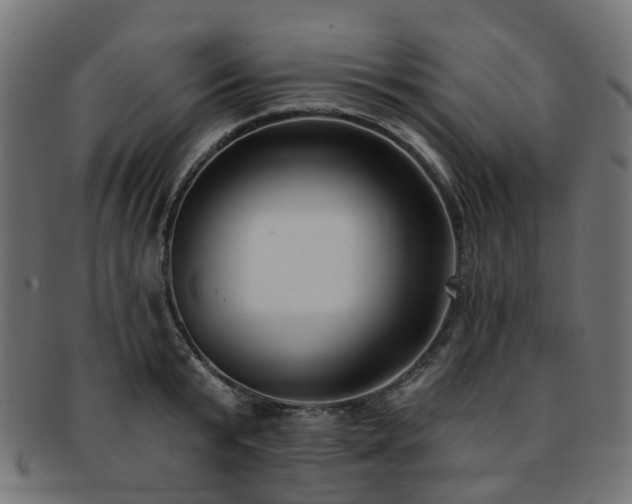 X0000092320799200709141412