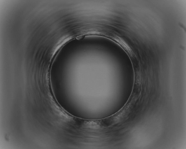 X0000092320806200709141412