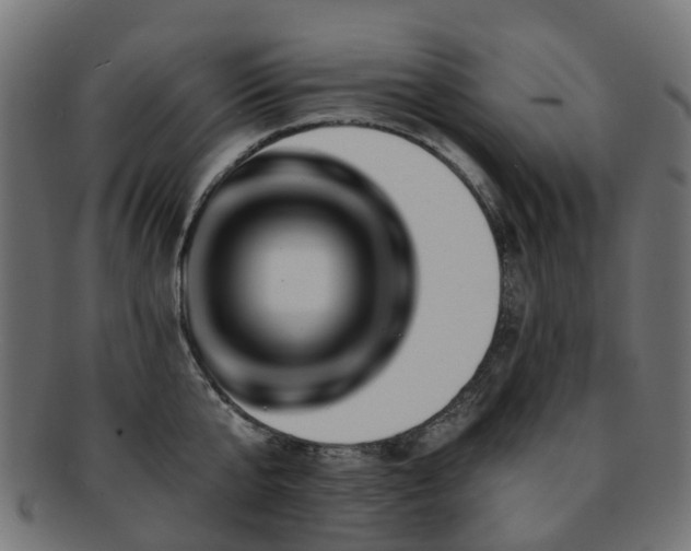 X0000092320807200709141412