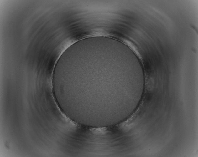 X0000092320810200709141412