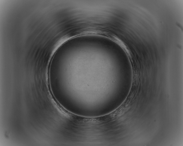 X0000092320811200709141412