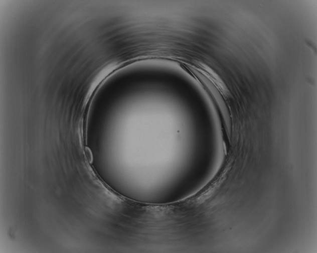 X0000092320812200709141412
