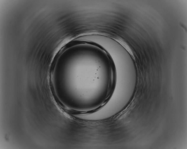 X0000092320813200709141412