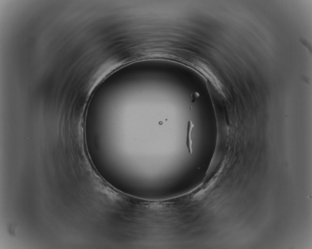 X0000092320814200709141412