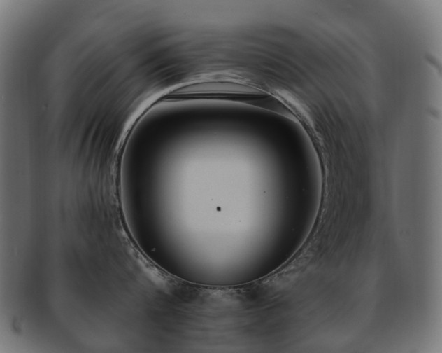 X0000092320816200709141412