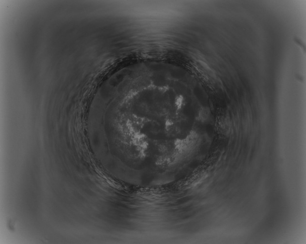 X0000092320817200709141411