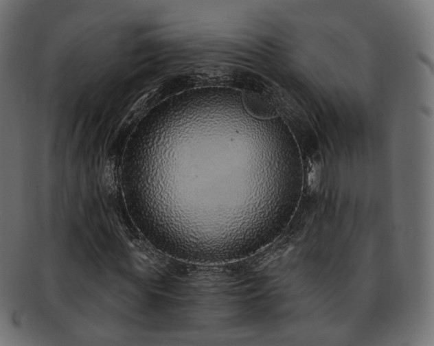X0000092320819200709141411