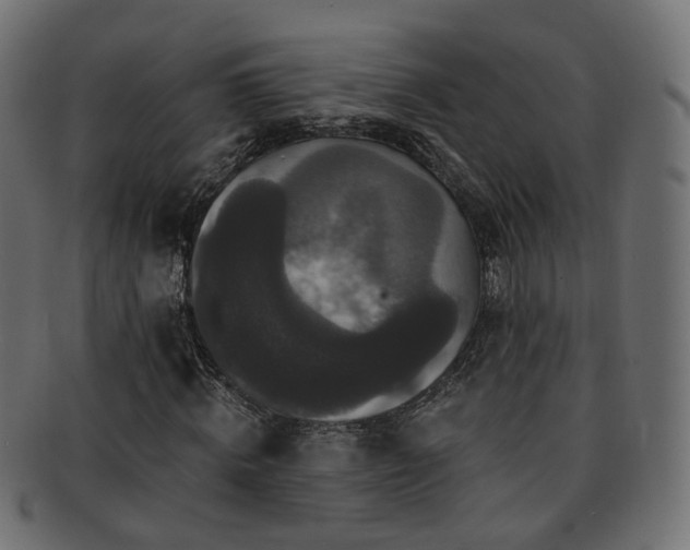 X0000092320820200709141411