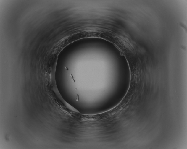 X0000092320821200709141411
