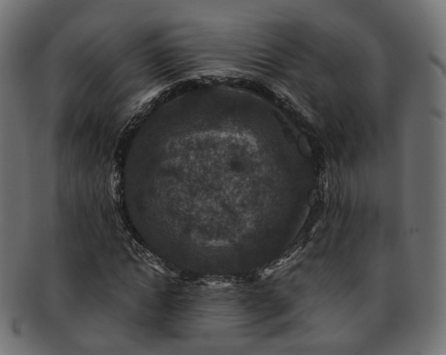 X0000092320822200709141411
