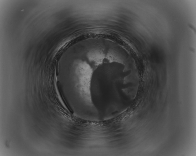 X0000092320823200709141411