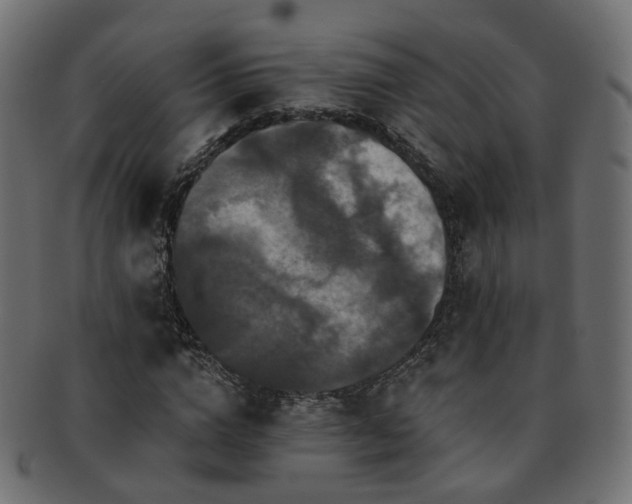 X0000092320824200709141411