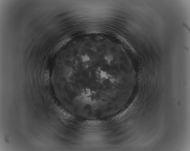 X0000092320825200709141411