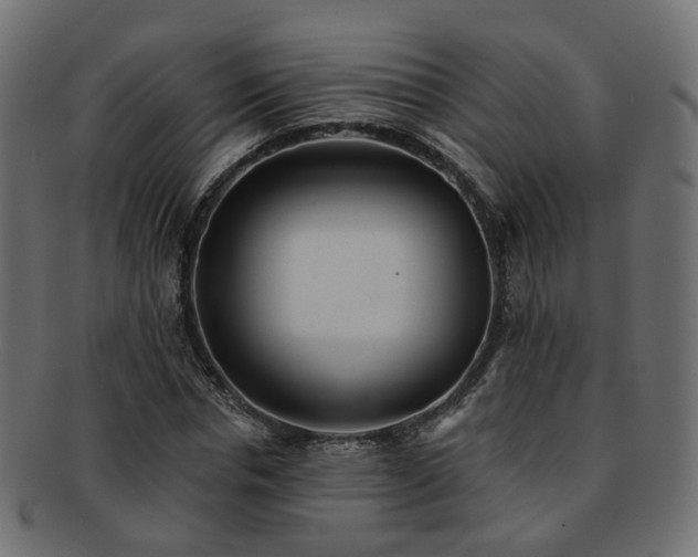 X0000092320826200709141411