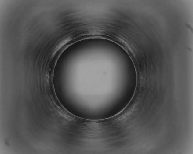 X0000092320827200709141411