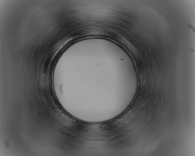 X0000092320828200709141411