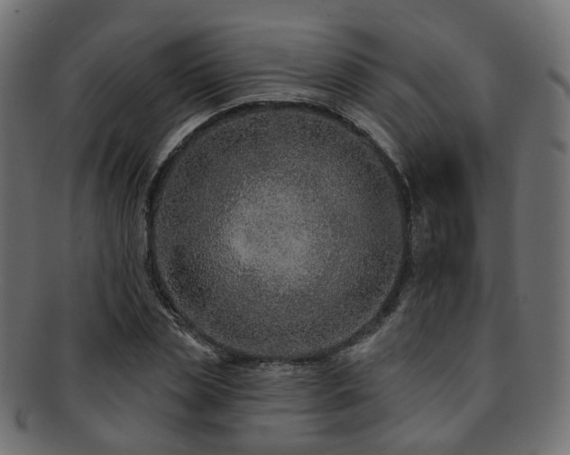 X0000092320829200709141411