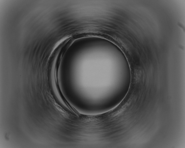 X0000092320830200709141411