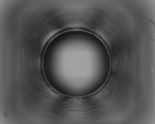 X0000092320831200709141411