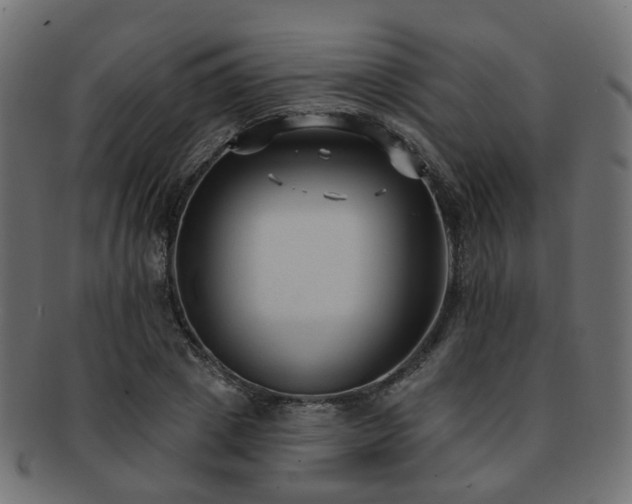 X0000092320833200709141411