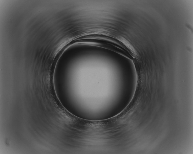 X0000092320834200709141411