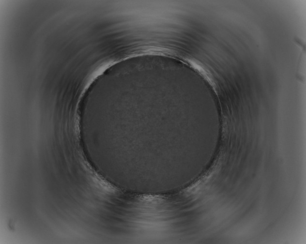 X0000092320835200709141411