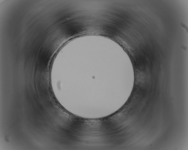 X0000092320836200709141411
