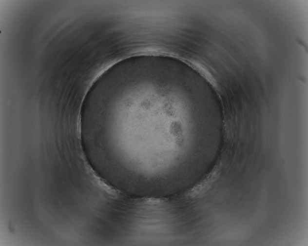 X0000092320839200709141412
