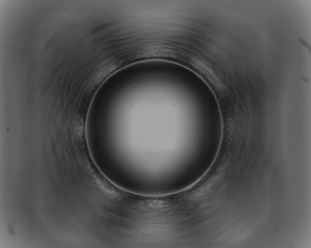X0000092320841200709141412