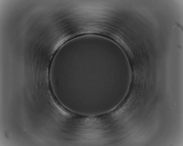X0000092320842200709141412