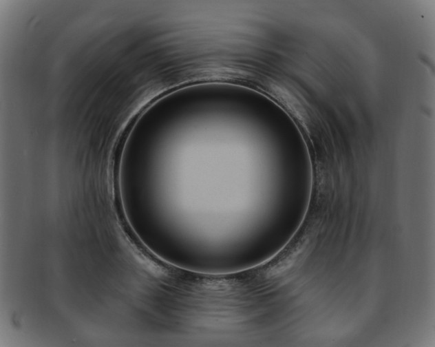 X0000092320843200709141412