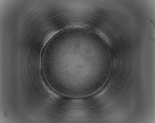 X0000092320844200709141412