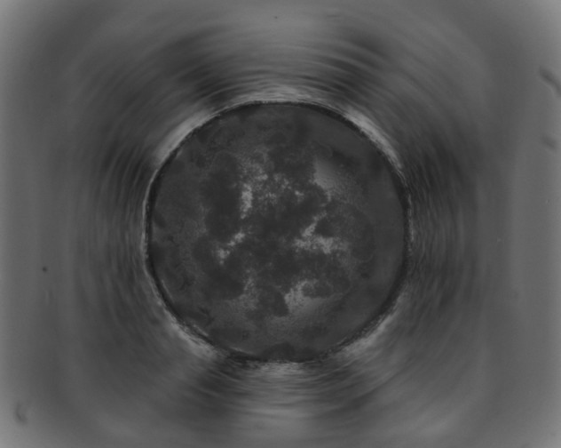 X0000092320845200709141412