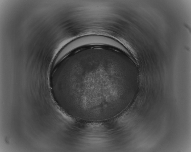X0000092320846200709141412