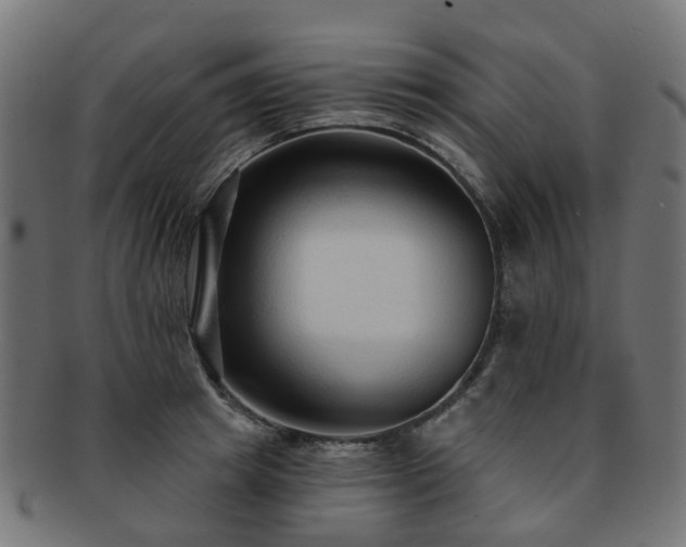 X0000092320849200709141412