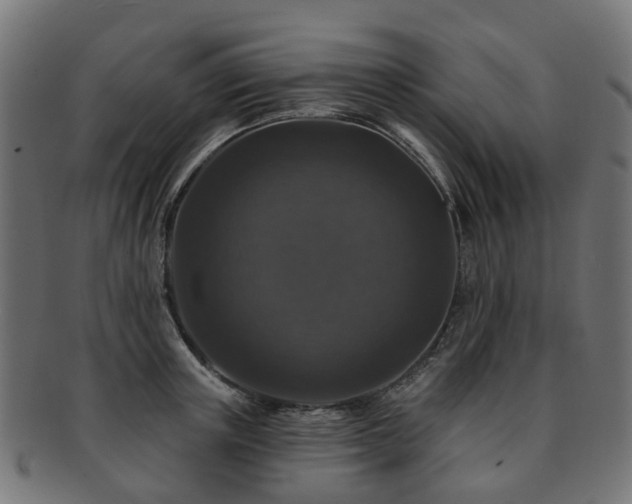 X0000092320851200709141412