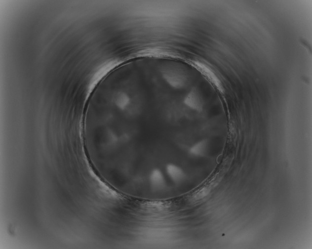 X0000092320855200709141412